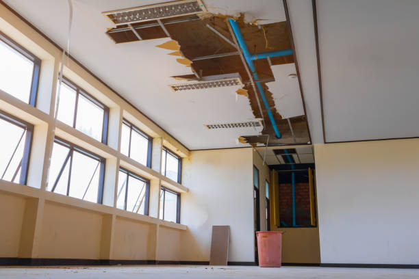 Best Flood damage cleanup  in Garden City South, NY