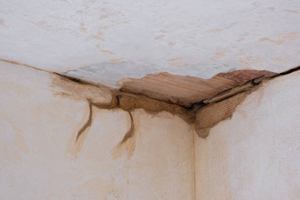 Best Commercial water damage restoration  in Garden City South, NY
