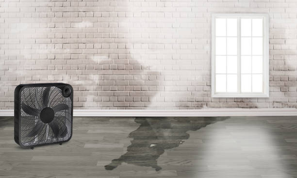 Best Sewage cleanup and water damage restoration  in Garden City South, NY