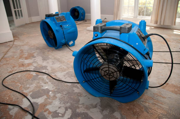 Best Water damage contractors near me  in Garden City South, NY