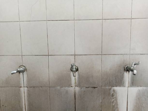 Best Flood restoration services  in Garden City South, NY