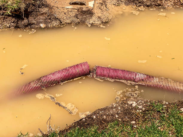 Best Residential water damage restoration  in Garden City South, NY