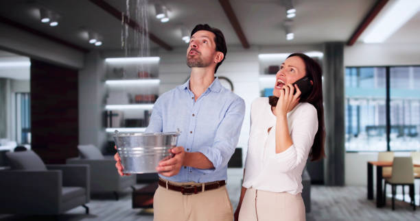 Best Water damage restoration experts  in Garden City South, NY