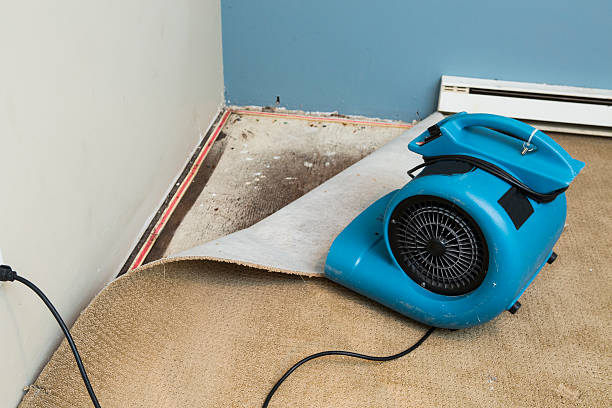 Best Water damage cleanup near me  in Garden City South, NY